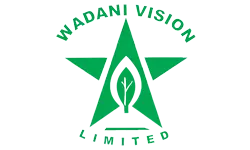 My Website